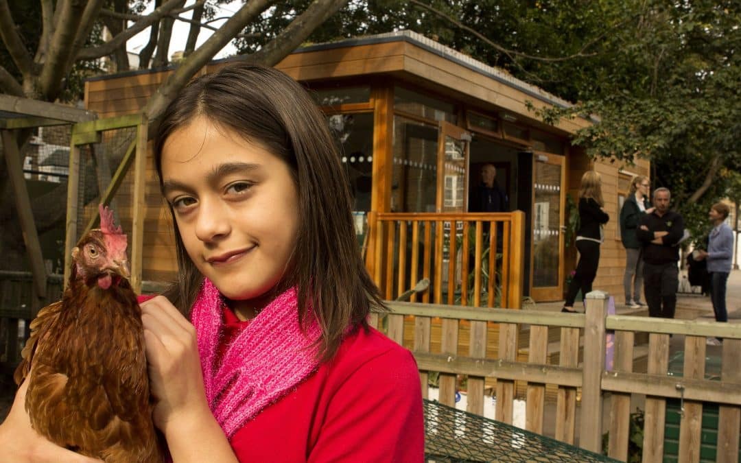 Outdoor Classroom at Pooles Park Primary